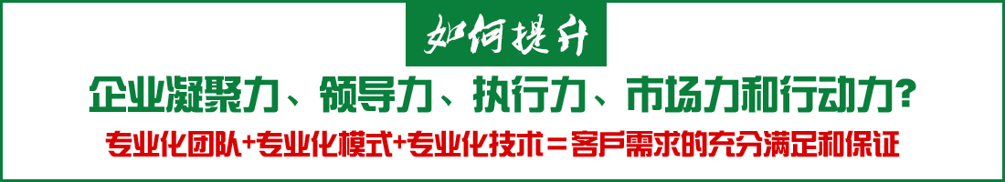 如何提升企业凝聚力、领导力、执行力、市场力和行动力？专业化团队+专业化模式+专业化技术＝客户需求的充分满足和保证